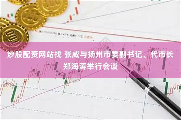 炒股配资网站找 张威与扬州市委副书记、代市长郑海涛举行会谈